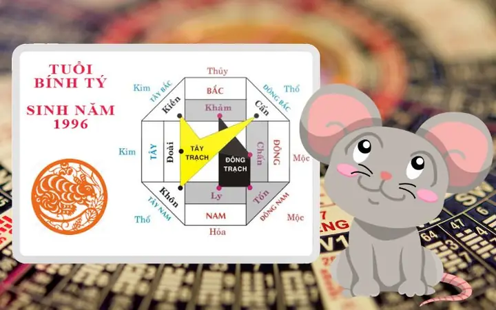 Hướng Xấu Gia Chủ Bính Tý 1996 Nên Tránh?