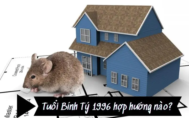 Hướng Nhà Hợp Tuổi Gia Chủ Bính Tý 1996