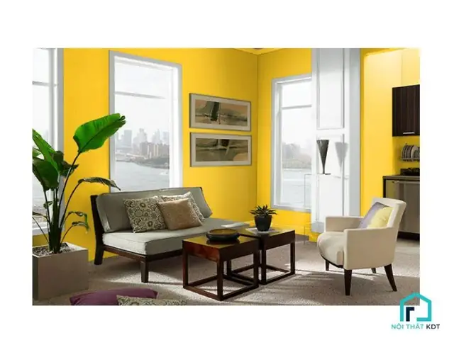 2 Phong Cách Hàn Quốc Với Màu Vàng Nhạt Nhẹ Nhàng