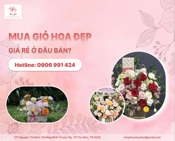 Shop Nào Bán Đồ Trang Trí Sinh Nhật Ở Thủ Đức?