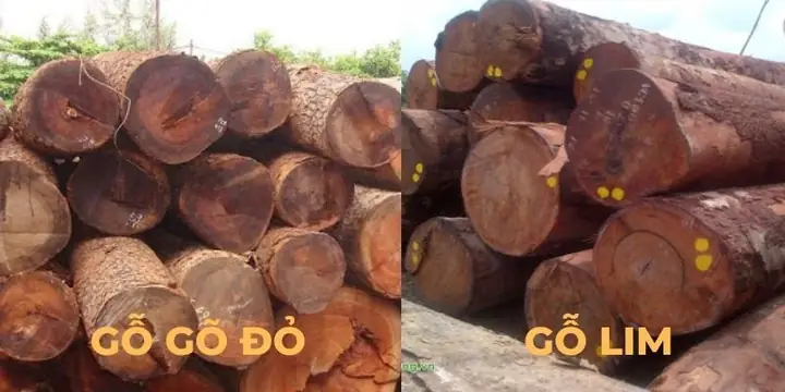 So Sánh Gỗ Lim Và Gõ Đỏ: Nên Chọn Loại Nào Cho Nội Thất?