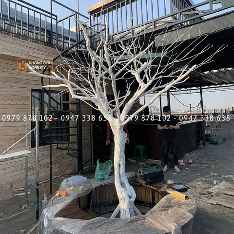 Cây Khô Trang Trí | Trang Trí Cây Sơn Trắng Cho Quán Cafe ...