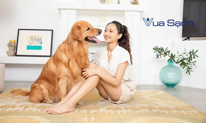 Giặt Thảm Trang Trí - Sạch Như Mới & Diệt Khuẩn 99%