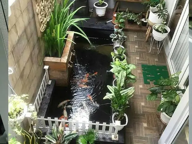 Tiểu Cảnh Bể Cá, Hồ Cá Trong Nhà