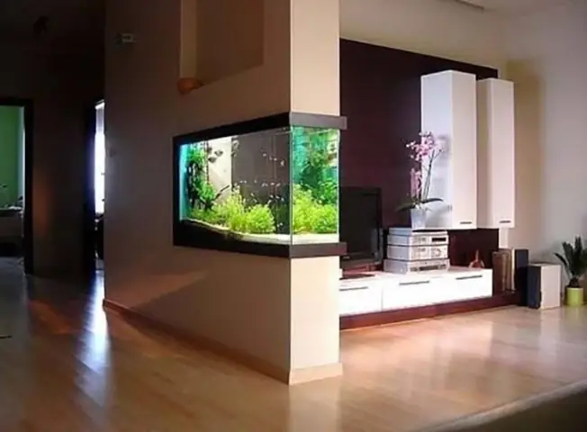 Tiểu Cảnh Bể Cá, Hồ Cá Trong Nhà
