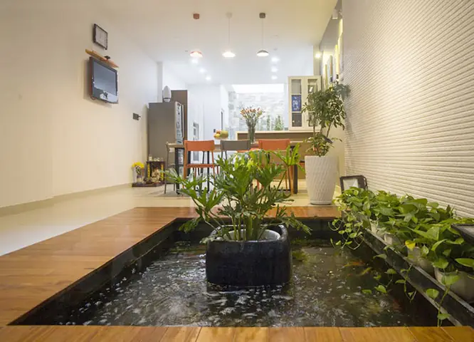 Tiểu Cảnh Bể Cá, Hồ Cá Trong Nhà