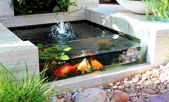 Tiểu Cảnh Bể Cá, Hồ Cá Trong Nhà