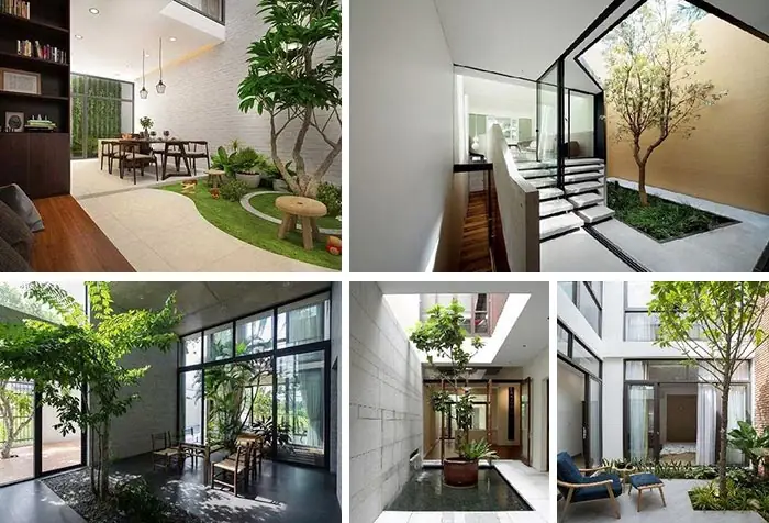 Tổng Quan Về Tiểu Cảnh Trong Nhà