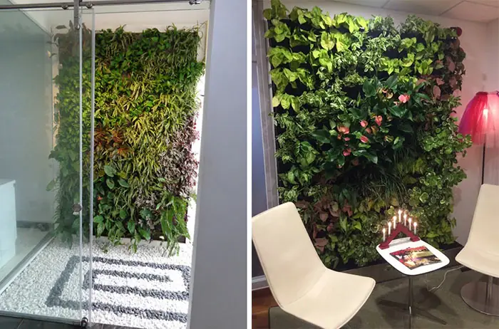 Tiểu Cảnh Vườn Cây Trên Tường