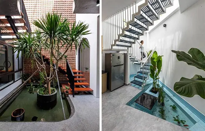 Tiểu Cảnh Bể Cá, Hồ Cá Trong Nhà