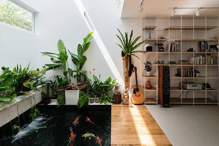 Tiểu Cảnh Bể Cá, Hồ Cá Trong Nhà