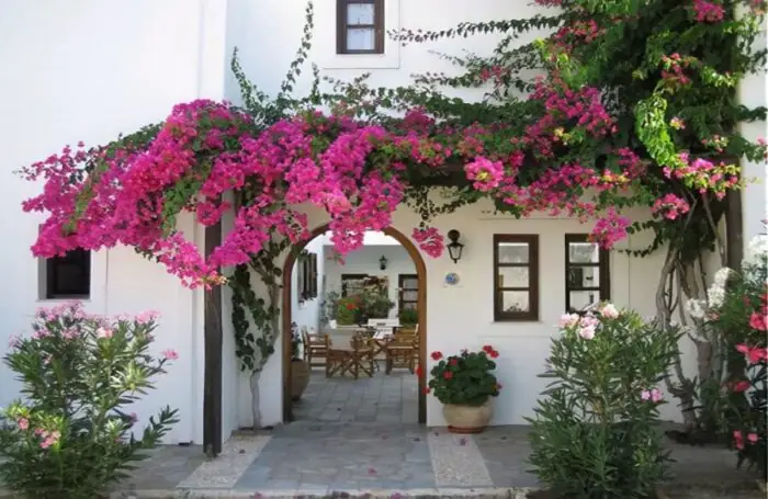 Thiết Kế Mặt Tiền Nhà Phố Hướng Tây Cho Nhà 3 Tầng