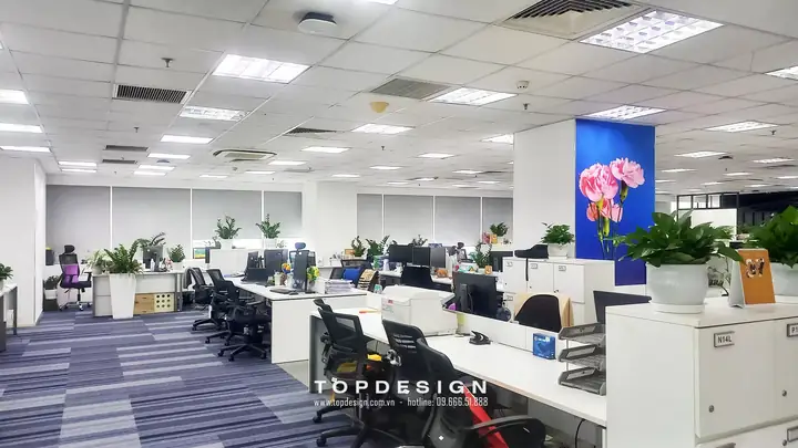 Thi Công Nội Thất Văn Phòng Coworking Campus-k, Song Da Buidling, Mễ Trì, Hn