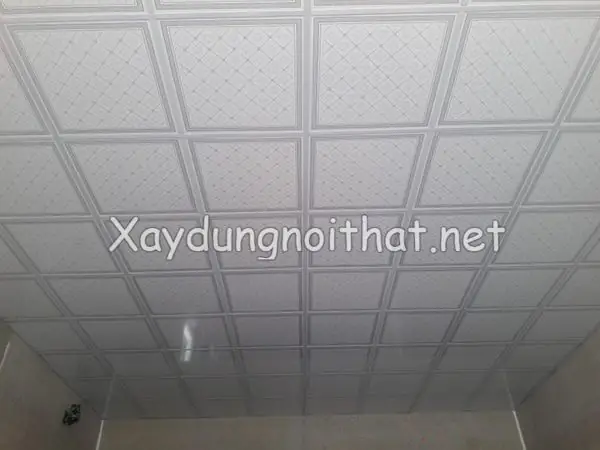 Trần Thả Thạch Cao Là Gì?