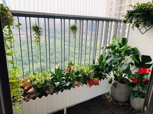 Trang Trí Ban Công Chung Cư Đẹp, Hiện Đại (từ A-z) - 2025