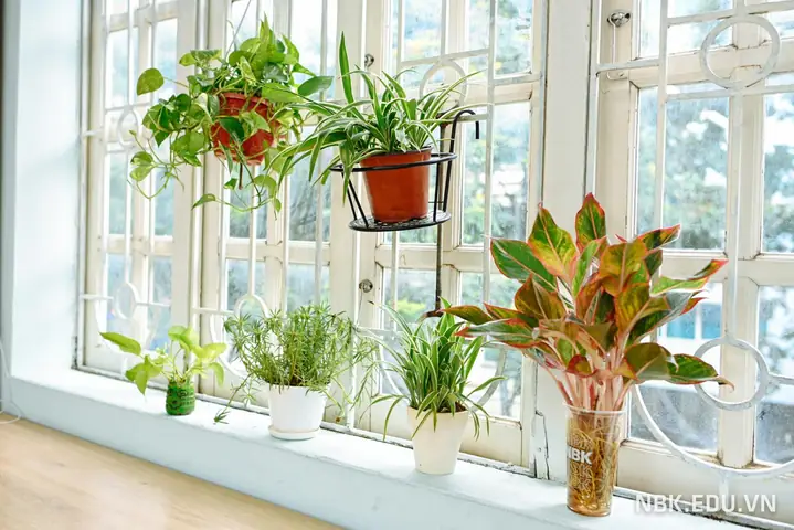 Cách Trang Trí Lớp Học Đẹp Cho Trường Thpt?