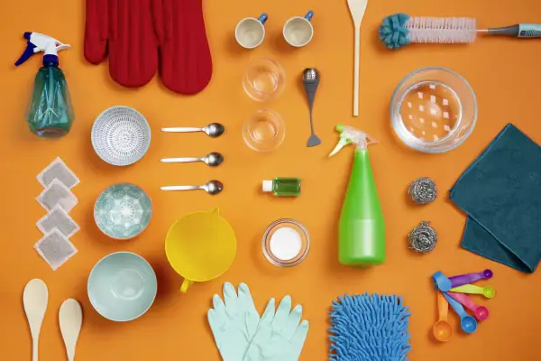 Äang Trá»ng Cã¢y Trong Cháº­u.