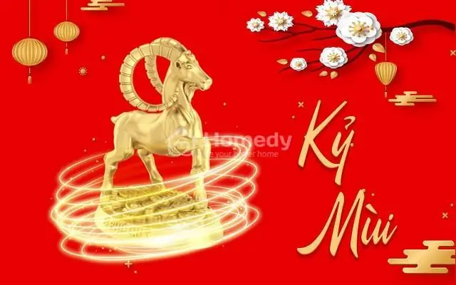 Tổng Quan Về Tuổi Kỷ Mùi 1979