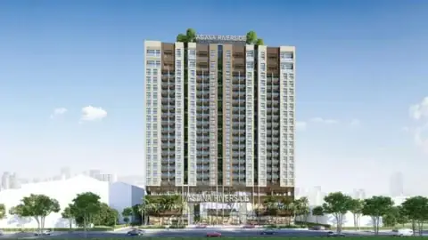 Aristotle Là Ai? Tiểu Sử, Sự Nghiệp Và Những Tư Tưởng Vĩ Đại