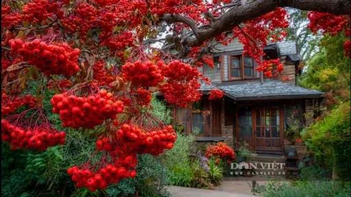 Hồ Xuân Hương: Sự Thật Đằng Sau Danh Xưng "bà Chúa Thơ Nôm" Trong Lịch Sử Văn Học Việt