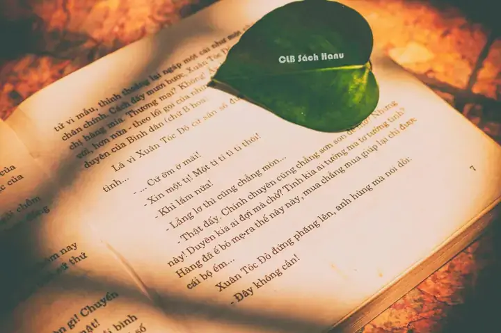 Bà Phó Đoan Là Ai? Tiểu Sử, Sự Nghiệp Và Những Góc Khuất Ít Ai Biết