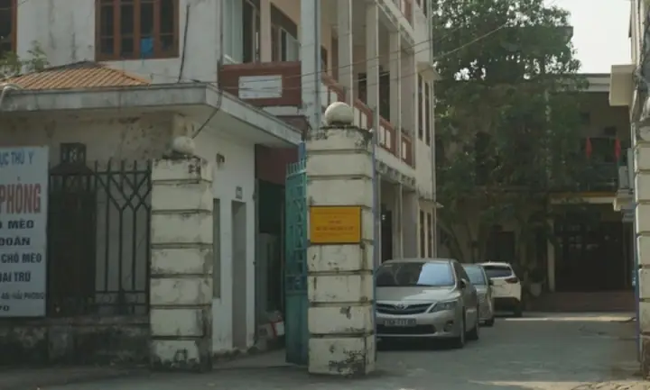 Bà Nguyễn Phương Hằng: Tiểu Sử, Sự Nghiệp Và Hành Trình Từ Doanh Nhân Đến Nhân Vật Gây Tranh Cãi