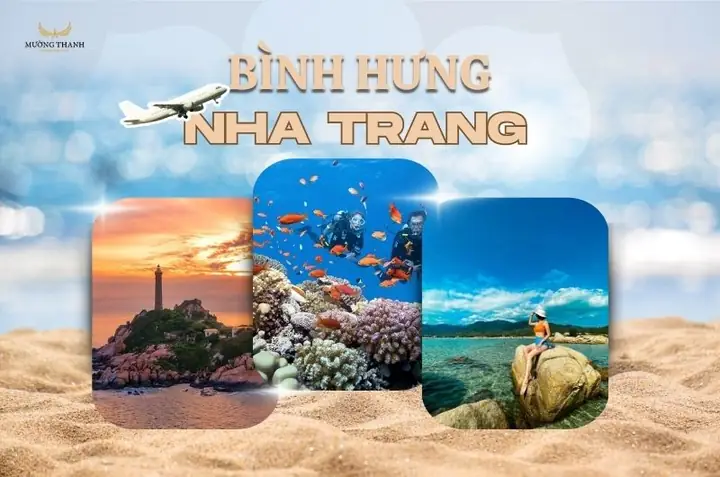 Bình Con Nha Trang Là Ai? Sự Thật Đằng Sau Câu Chuyện Của 'đại Ca' Xứ Biển