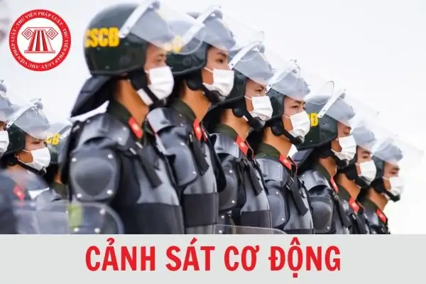 Câu Hỏi Thường Gặp Về Cảnh Sát Cơ Động: Vai Trò, Tiêu Chuẩn Tuyển Dụng Và Các Quy Định