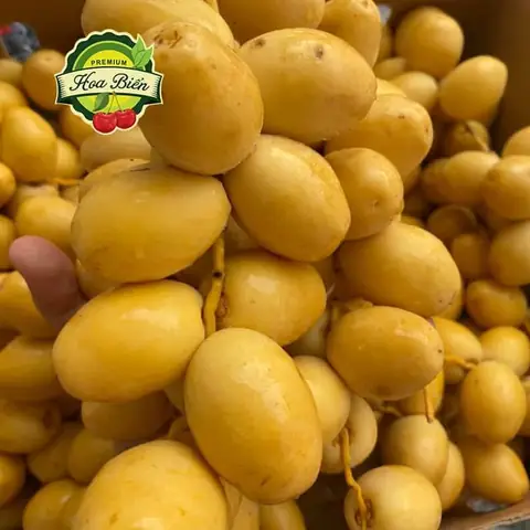 Chà Là Tươi Ai Cập: Đặc Điểm, Lợi Ích Sức Khỏe Và Cách Sử Dụng