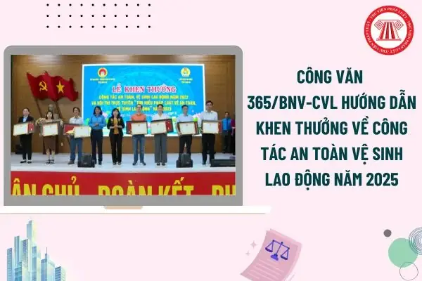 Chánh Án Là Ai? Vai Trò, Quyền Hạn Và Quy Trình Bổ Nhiệm Trong Hệ Thống Tư Pháp