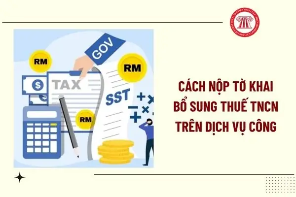 Chánh Án Là Ai? Vai Trò, Quyền Hạn Và Quy Trình Bổ Nhiệm Trong Hệ Thống Tư Pháp