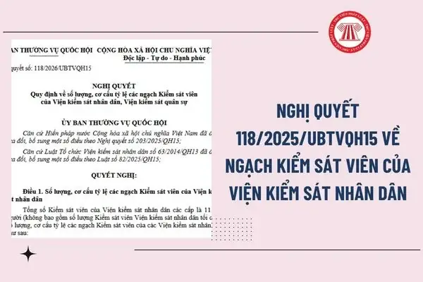 Chánh Án Là Ai? Vai Trò, Quyền Hạn Và Quy Trình Bổ Nhiệm Trong Hệ Thống Tư Pháp