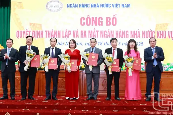 Chánh Thanh Tra Ngân Hàng Nhà Nước Là Ai? Vai Trò, Nhiệm Vụ Và Quyền Hạn