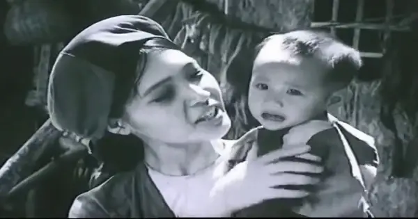 Chị Dậu Tên Thật Là Gì? Sự Thật Ít Ai Biết Về Nhân Vật Văn Học Kinh Điển