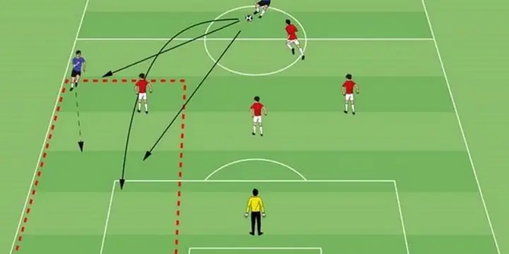 Sự Thật Về Hoàng Thị Hường: Hành Trình Từ Doanh Nhân Đến Những Tran Cãi Pháp Lý