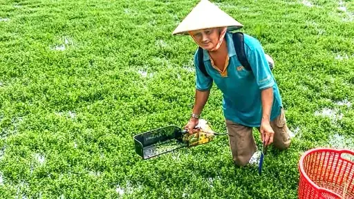 “hổ Lớn” Nối Gót Chu Vĩnh Khang: Danh Sách Những Nhân Vật Quyền Lực Bị Điều Tra
