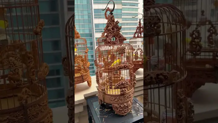 Dương Văn Chương (chương Tailor): Tiểu Sử, Sự Nghiệp Và Khối Tài Sản Bí Ẩn