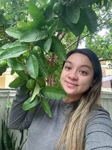 Wendy Phạm: Tiểu Sử, Sự Nghiệp Và Cuộc Sống Con Gái Cố Ca Sĩ Phi Nhung Wendy Phạm: Tiểu Sử, Sự Nghiệp Và Cuộc Sống Con Gái Cố Ca Sĩ Phi Nhung