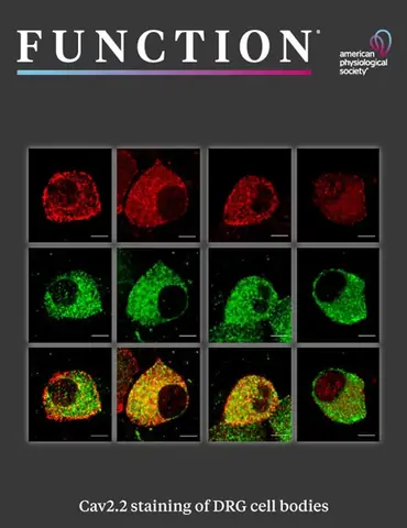 Confucius Là Ai: Cuộc Đời, Triết Lý Và Di Sản Vĩ Đại Của Khổng Tử Confucius Là Ai: Cuộc Đời, Triết Lý Và Di Sản Vĩ Đại Của Khổng Tử