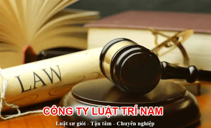 Công Chức Là Gì? Vai Trò, Phân Loại Và Hệ Thống Ngạch Bậc Theo Luật Cán Bộ, Công Chức 2025