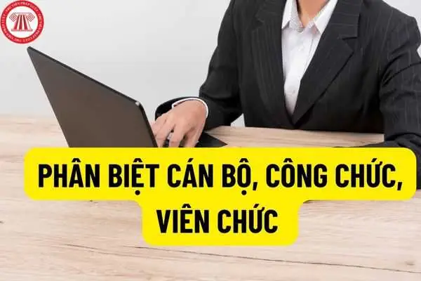 Công Chức Là Gì? Vai Trò, Phân Loại Và Hệ Thống Ngạch Bậc Theo Luật Cán Bộ, Công Chức 2025