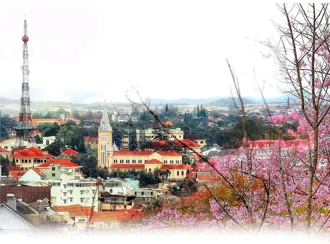 Đà Xá Cổ Đế: Sức Mạnh Vô Song Và Bí Ẩn Huyền Thoại Trong "đấu Phá Thương Khung"