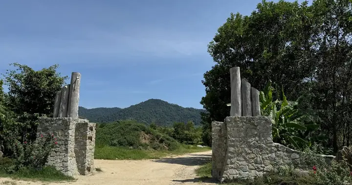 Đặng Lê Nguyên Vũ Là Ai? Tiểu Sử, Sự Nghiệp Và Những Góc Nhìn Đa Chiều