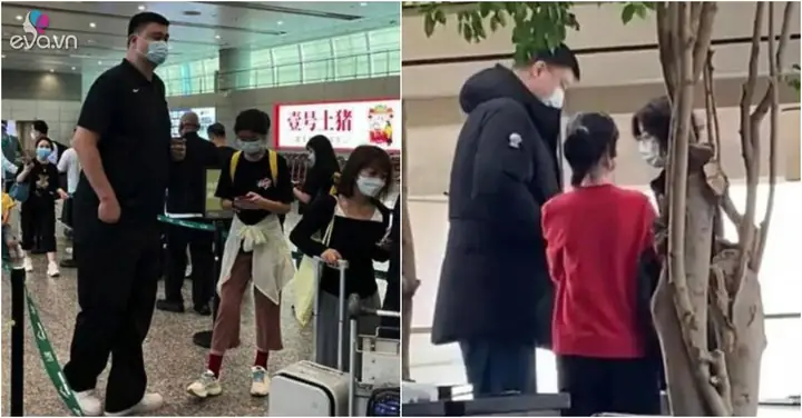 Diêu Minh Là Ai? Tiểu Sử, Sự Nghiệp Và Cuộc Đời Của Cố Nsnd Diêu Minh