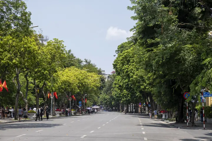 Đinh Tiên Hoàng: Sự Thật Về Vị Hoàng Đế Mở Đầu Kỷ Nguyên Độc Lập Dân Tộc