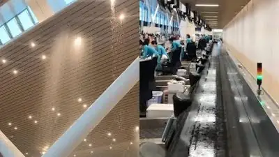 Dương Quốc Chính Là Ai? Tiểu Sử, Sự Nghiệp Và Những Đóng Góp Nổi Bật