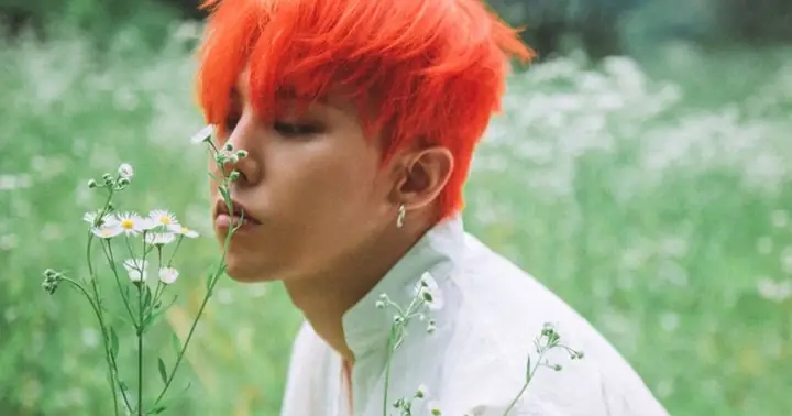 Ai Và Hiệu Trưởng: Ai Thực Sự Là Người Đứng Đầu Trường Đại Học?