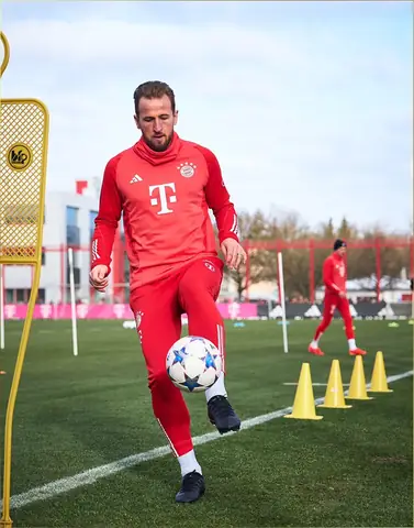 Harry Kane Là Ai? Tiểu Sử, Sự Nghiệp Và Thành Tích Của Tiền Đạo 'thánh Dội Bom'