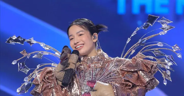 Hippo Happy Là Ai? Tìm Hiểu Về Nhân Vật Mạng Xã Hội Mang Năng Lượng Tích Cực