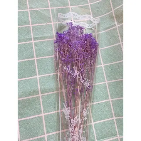 Hoa Broom Bloom Khô